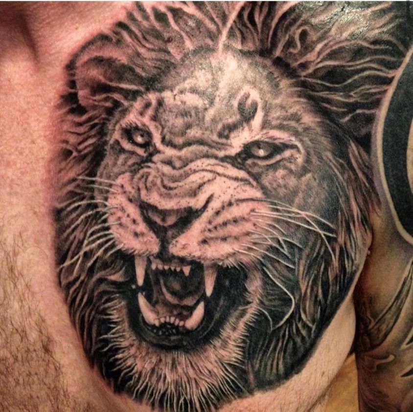 black and grey realism tattoo of a growling lion on chest