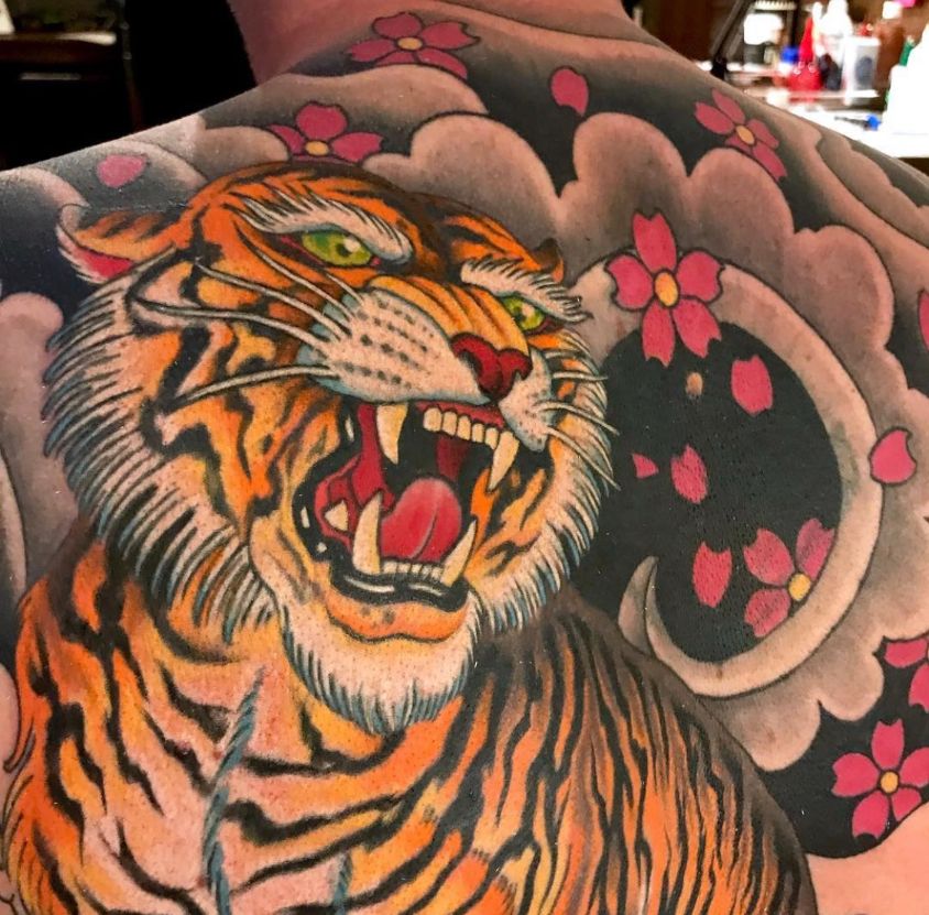 colour Japanese back tattoo of an orange tiger with cherry blossoms and wind bars
