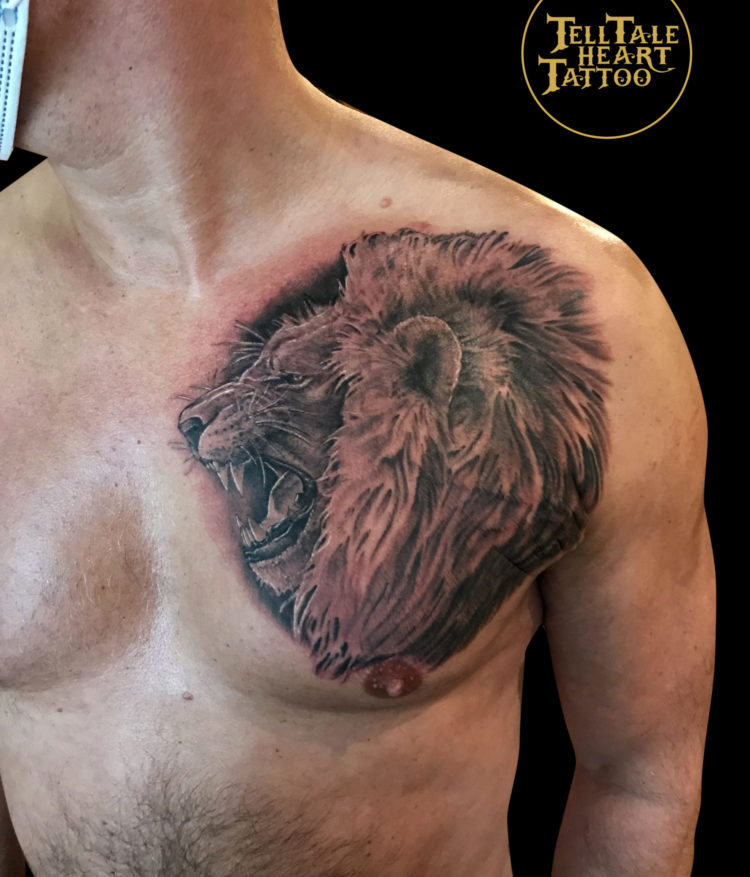 Black and grey realism tattoo of profile of male lion head roaring tattooed on chest