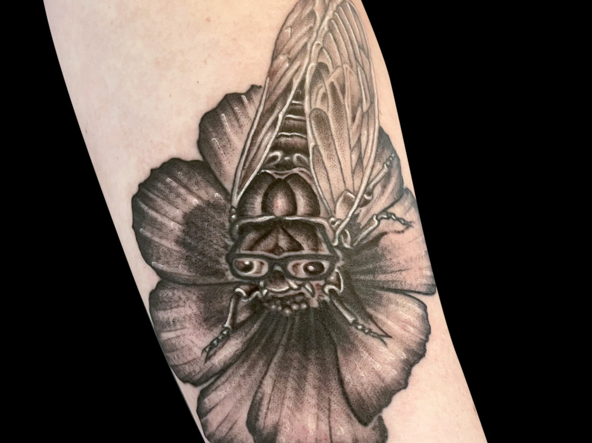 black and grey tattoo of cute cicada wearing glassed perched with its wings closed ontop of an open flower