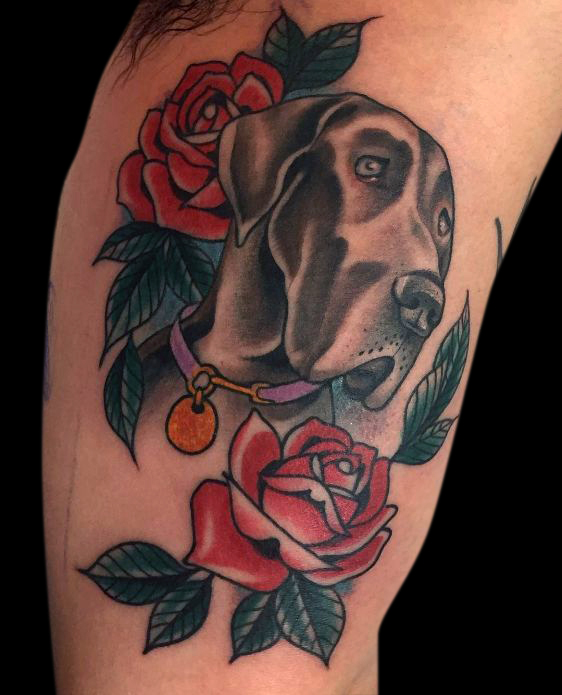 colour memorial portrait of a dog's head with a purple collar and two red roses