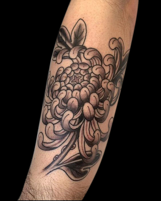 black and grey crysanthemum tattoo of single flower with two leaves