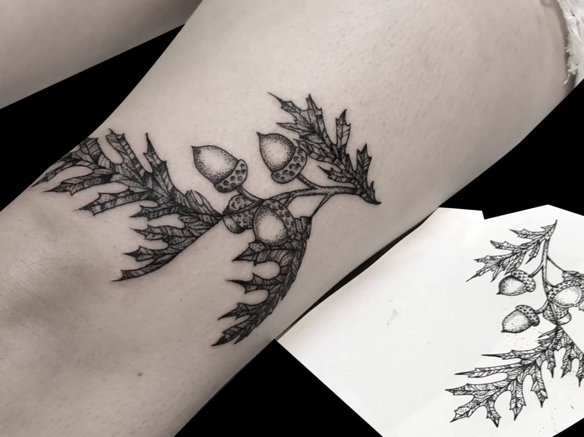 fineline tattoo o acorn branch with four acorns and four leaves tattooed in black on front of thigh