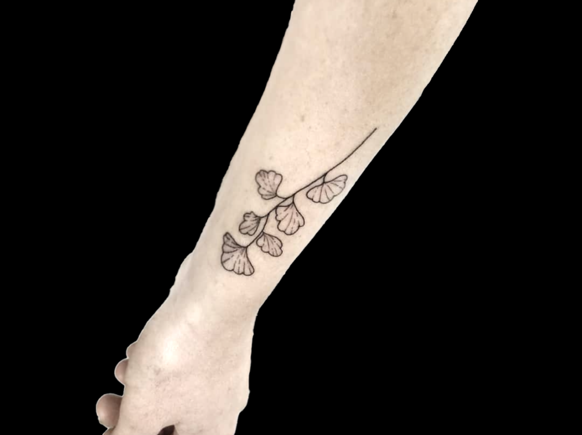 fineline tattoo of leaf stem with 6 leaves on a single stem done with outlines only on wrist