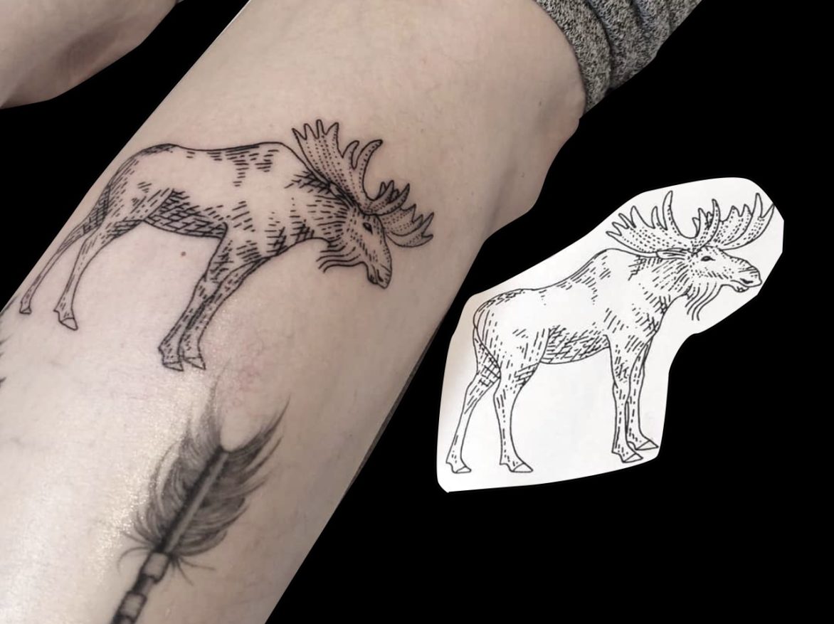 black fine line tattoo of moose with dots and hashes on back of calf