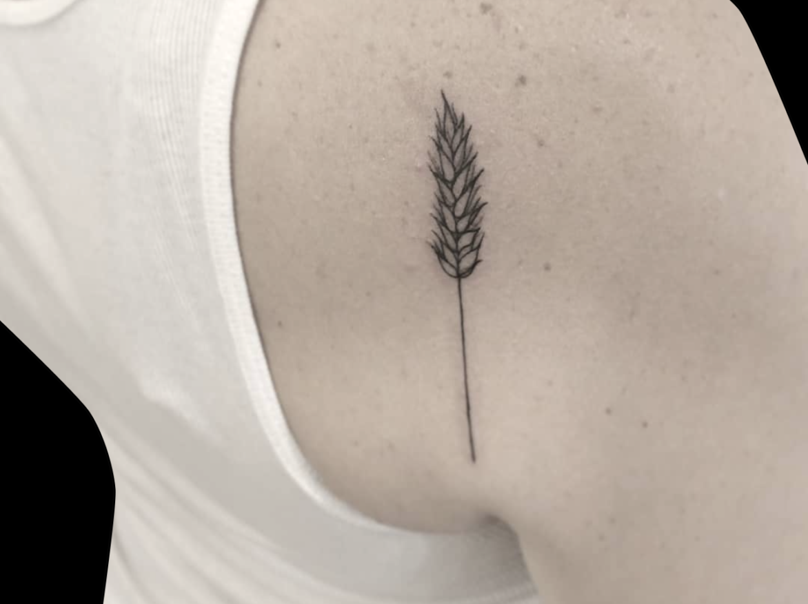 fineline micro tattoo of a single shaft of wheat on the back of shoulder