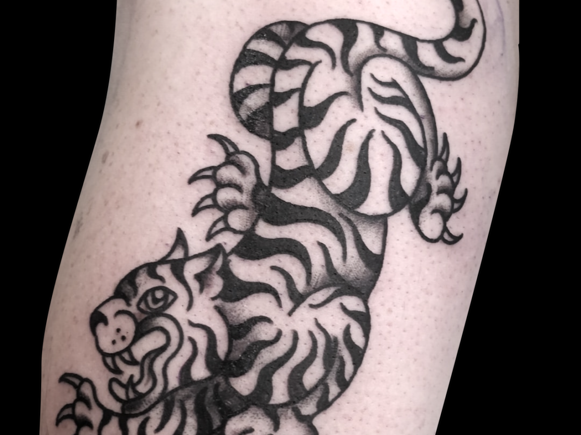 blackwork tattoo of a stylized full tiger facing downward with claws out on inside of bicep