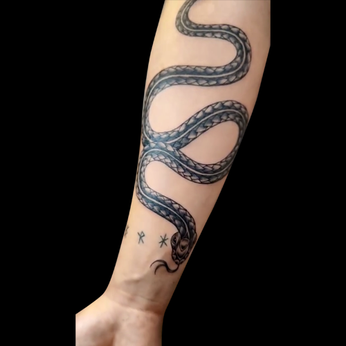 black and grey tattoo of s snake slithering down the inside of a person's forearm with the head ending just above the wrist