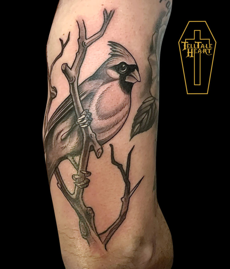 black and grey illustrative tattoo of a cardinal on a simple branch on the back of arm