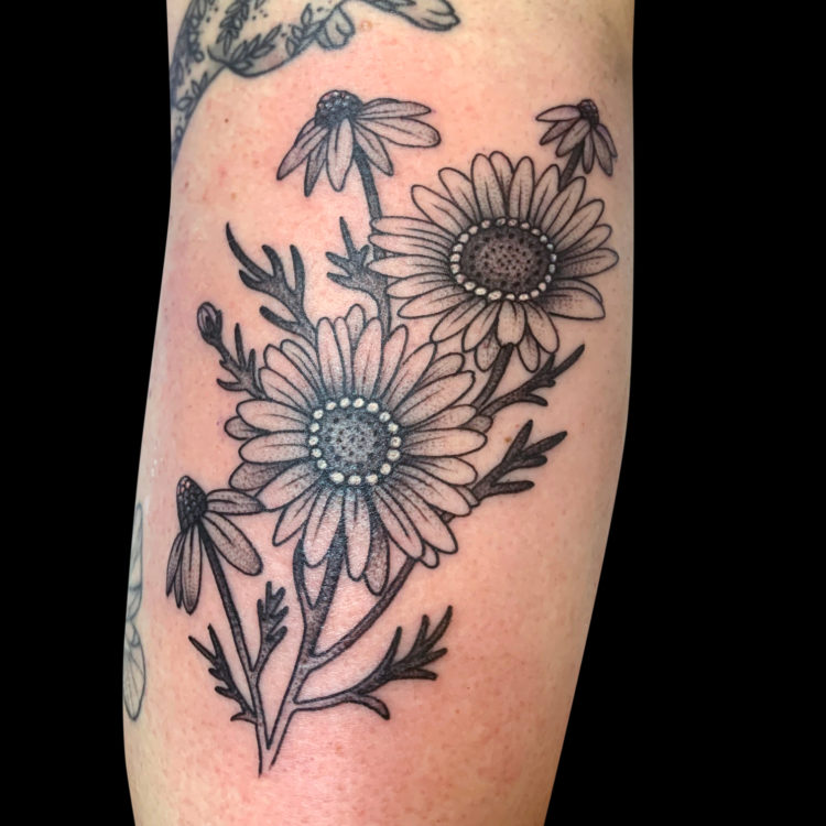 fineline tattoo of a branch of daisies featuring two large flowers, three small ones and a few green stems