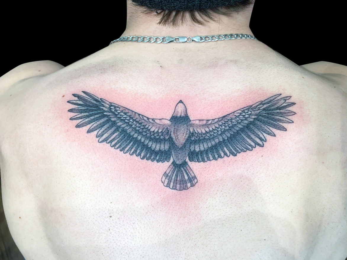 black and grey tattoo of top view of eagle with its wings outspread in the middle of the back