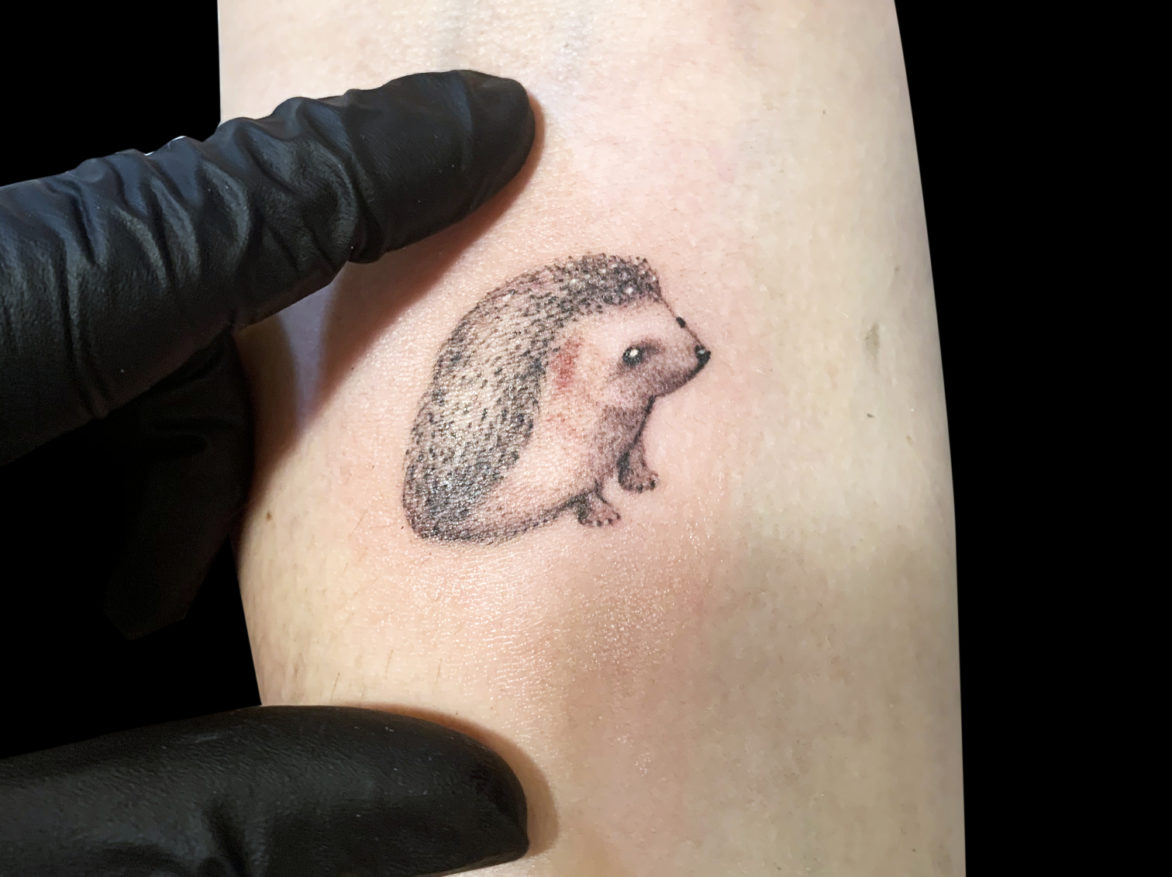 micro tattoo of baby porcupine not much bigger than a quarter