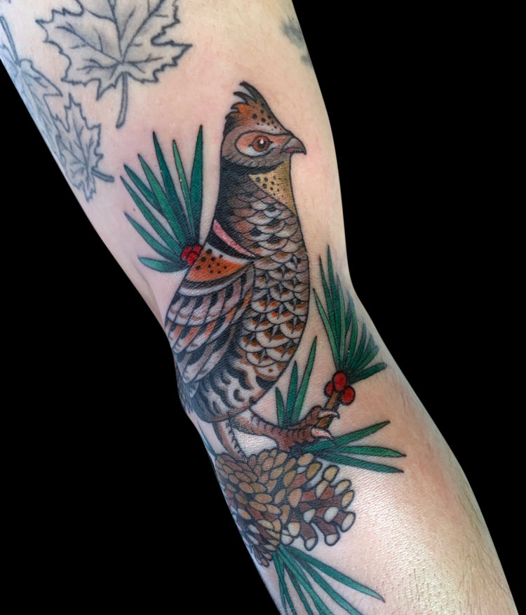 colour grouse tattoo sitting on a pine branch with pinecone