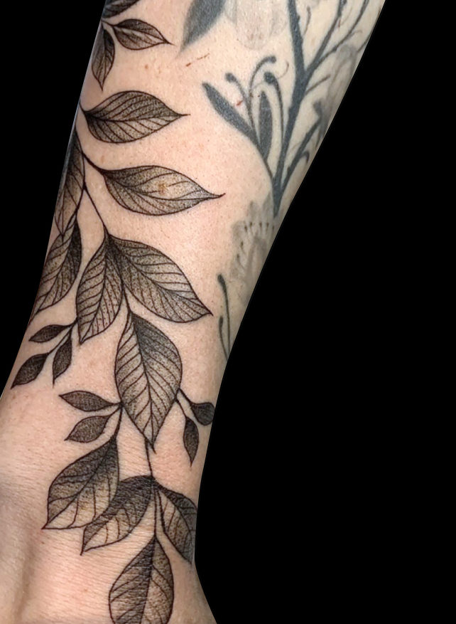 Fineline black ink tattoo of leaves on forearm