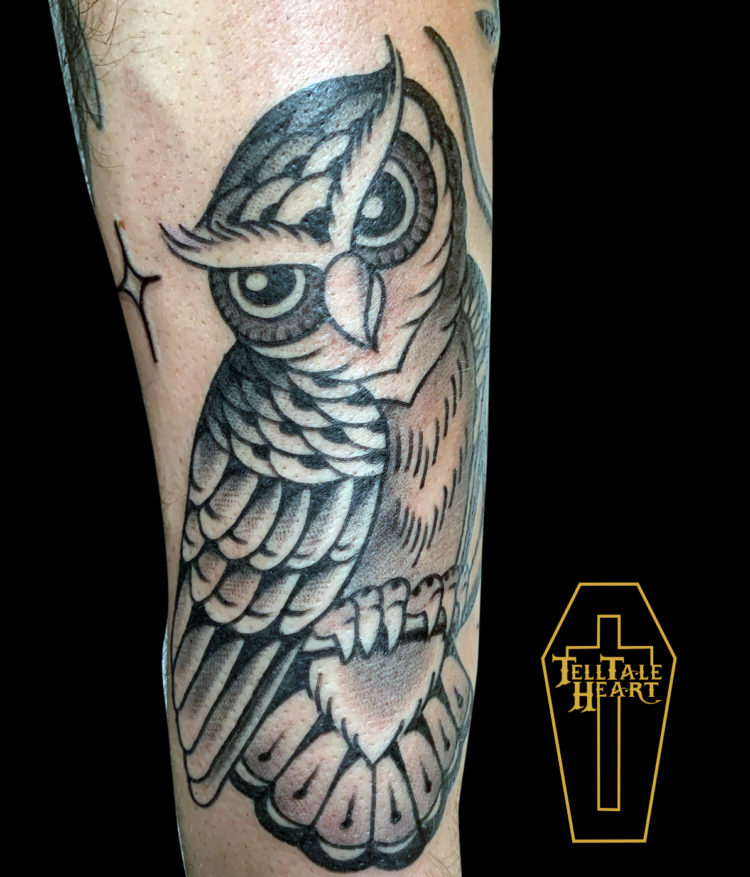 blackwork tattoo of stylized owl sitting on branch
